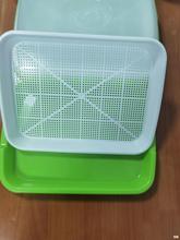 ���a���w��ѿ��˱P����P���ϷN���������p�ӷNֲ�Pˮ�ඹѿ�P