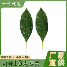 ԴʢС���˽��~���l DIYֲ���� �Ӽ��b����[�������~ �쾰