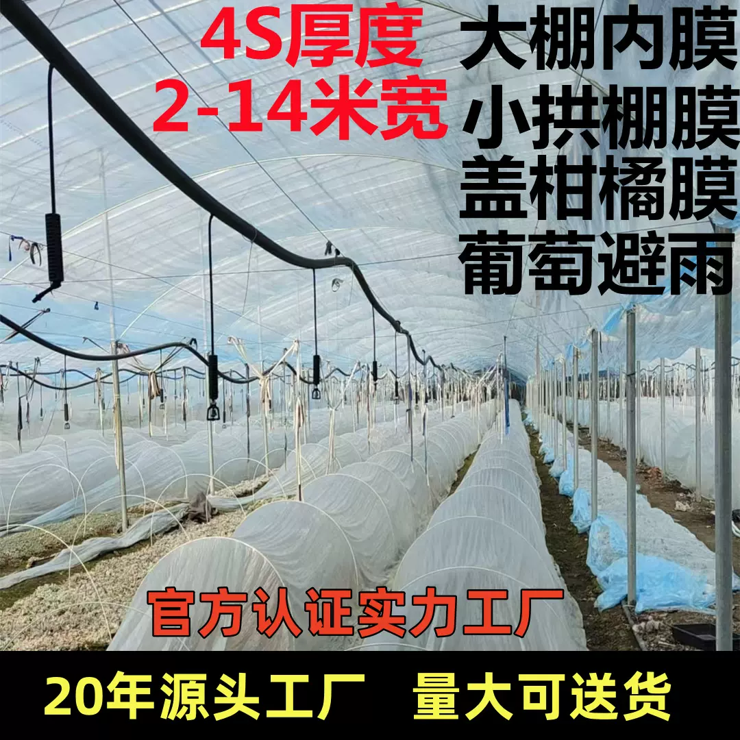 大棚膜内膜小拱棚葡萄避雨棚柑橘保温防雨防冻专用膜