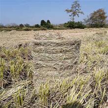 按需定做小麦秸秆捡拾机 玉米秸杆放捆设备 小麦秸秆打捆机