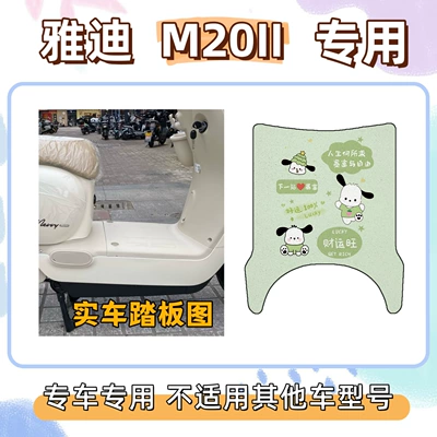 Special Decorative Floor Mats: Electric vehicle foot mat - pacha-dog-green-yadi-m20ii