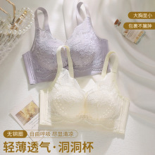 法式蕾丝调整型内衣女无痕聚拢上托防下垂无钢圈透气洞洞杯文胸-1