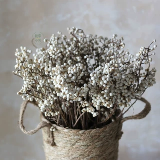 小白果干花花束乌桕果冬菇草厂家批发圣诞花环礼盒装饰干果花材