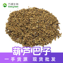 ���l�F؛���J�������㶹��fenugreek seed