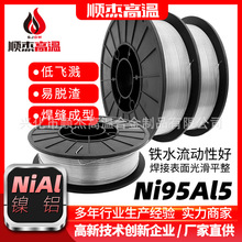 Ni95Al5懻Ͻ𺸽zᇊTXϽz늟z