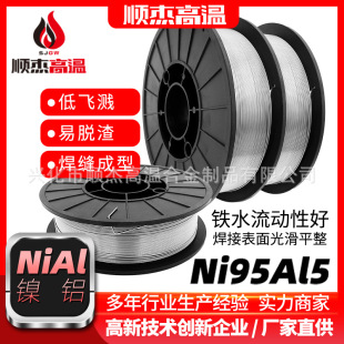 Ni95Al5懻��Ͻ𺸽z�ᇊ�T�X�Ͻ�z늟�z