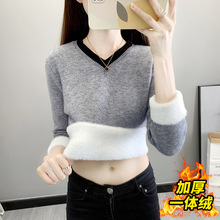 ���� 2025���ﶬ�¿�ӽq�Ӻ�һ�w�që��Ů���V�Iƴɫ�Ӻ�ᘿ���