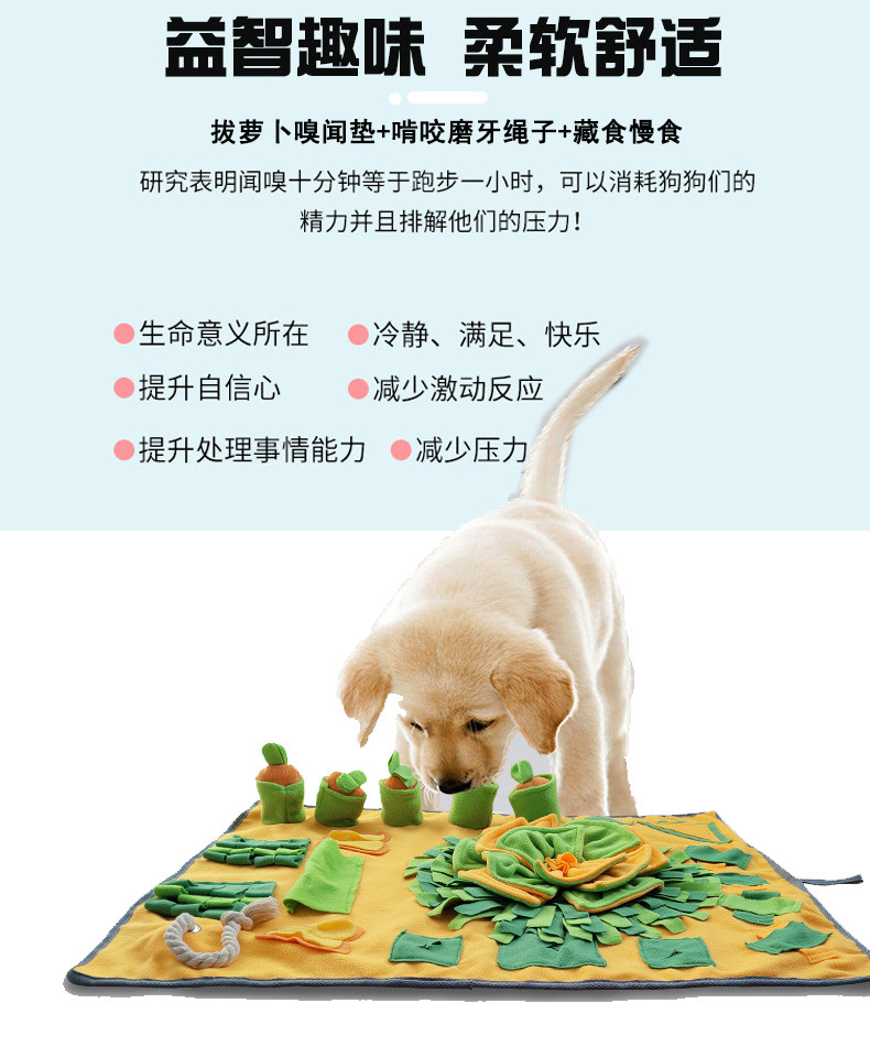 狗狗玩具解闷.jpg