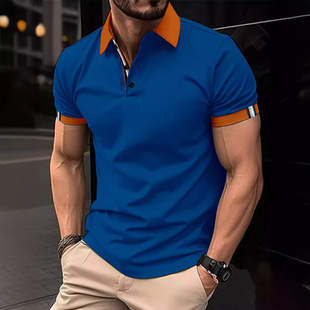 �羳2024������ʽ�~��polo����ɫ���䷭�IT�����e�����������b