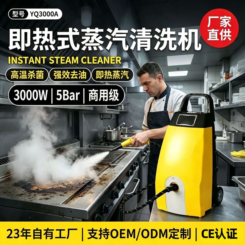 Instant Heating High-Temperature High-Pressure Steam Cleaning Machine, Professional Powerful Cleaning Equipment for Industrial Heavy Oil Stains, European Standard