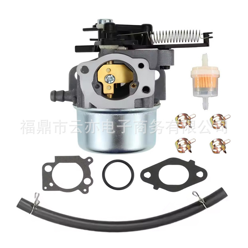 Suitable for 796608 111000 11P000 121000 12Q000 594287 799248 Carburetor