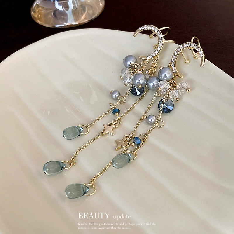 Earrings with tassels, light luxury style, no pierced ears, internet celebrity