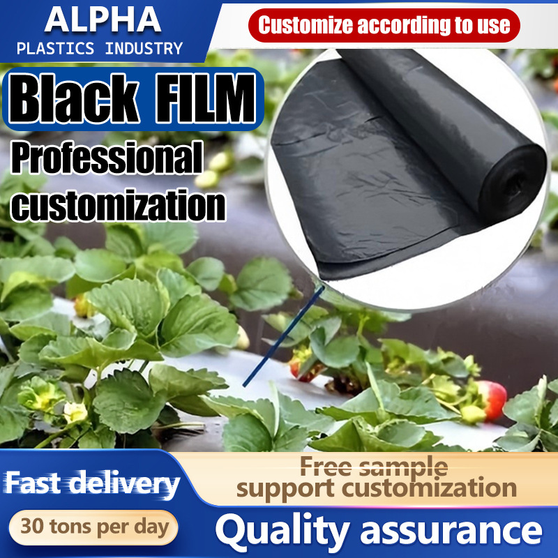 Agricultura Black Plastic Mulch Film Greenhouse Plastic