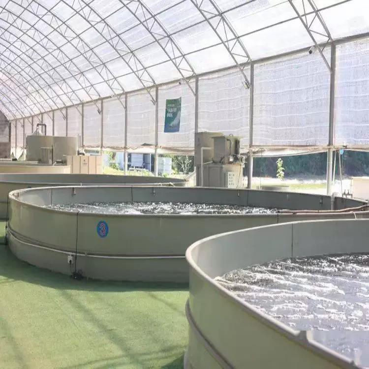 高密度养殖pp鱼池焊接式聚丙烯pp圆形鱼池工厂式鱼苗虾苗养殖池