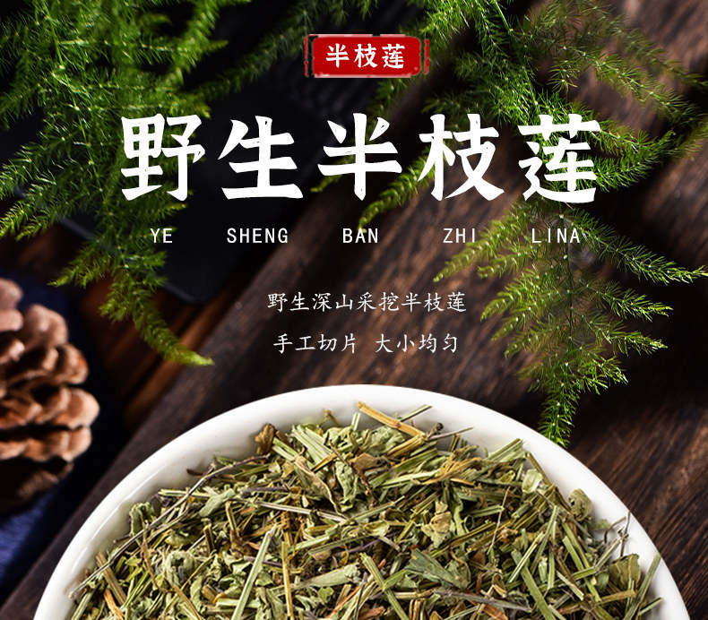 Ban Zhi Lian Dried Scutellaria barbata Herb 500g Wild-Crafted Sulfur-Free Traditional Chinese Herbal Tea and Decoction Herb overview
