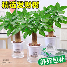 �lؔ���҃�С���ԾGֲ����ˮ��ֲ���S��������ļ����B���k������