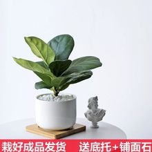 ���W�L���~�ſ͏d�k���������մ���ľ�|ֲ��M���҃����ԾGֲ���B