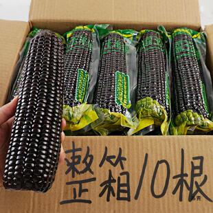 ��10������������Ŵ������������װ��ճ���׼�ʳ