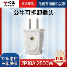 GNT-10L1S 公牛正品白色电源插头二脚两孔两脚二极二角两项2脚10a