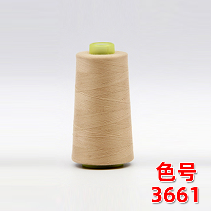 베이지 3661