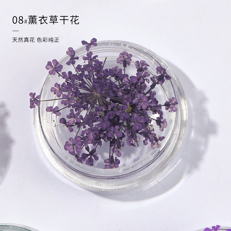 포도 퍼플 레이스 플라워 (3 박스)