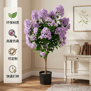 �����ɫ���������̈��҃����b��쾰���R�d�羳��������ֲ���b�
