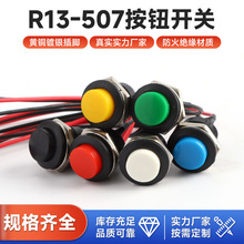 16MM�����A�ΰ��o�_�PR13-507��λ�o�i���I������܇Ħ��늄�