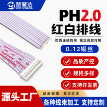 PH2.0红白排线端子线镀锡铜芯抗氧小家电LED主板连接线工厂直供