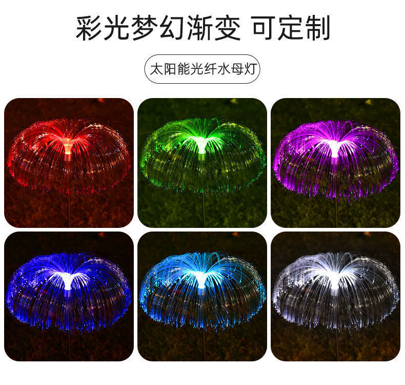 d506ce71-a0e8-4789-af09-c22274e7b3b1.jpe