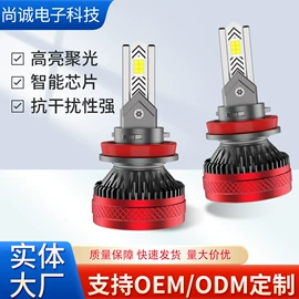 大灯、前照灯;雾灯