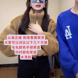 韩国东大门2023冬季新款时髦气质百搭立领短款仿水貂毛皮草外套女