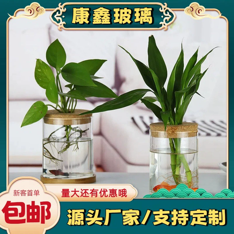 [Производственная настройка] Высокоборосиликатное стекло для комнатных зеленых растений, украшения для DIY, мох, гидропоника, стеклянная экологическая бутылка