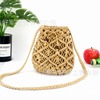 Small bag strap, straw small bag, beach shoulder bag