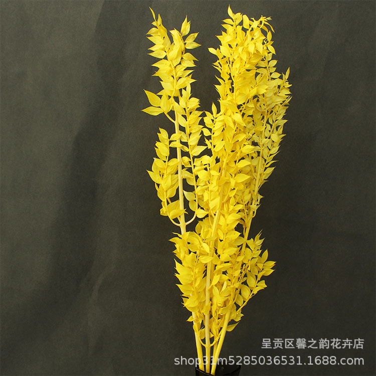 【약 55g】노란색