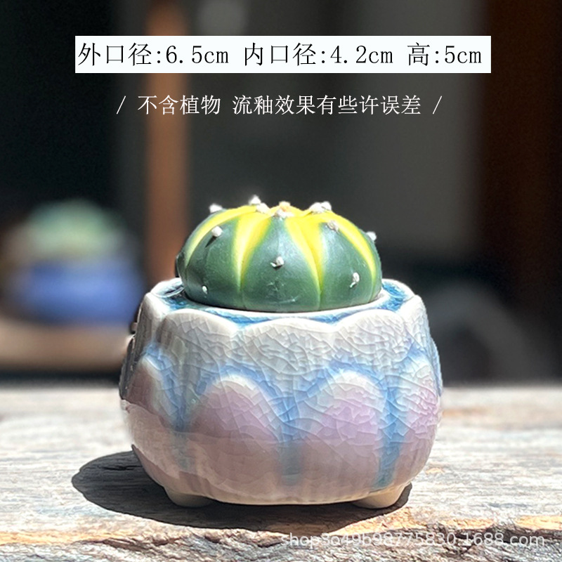 Liulikou little lotus-purple