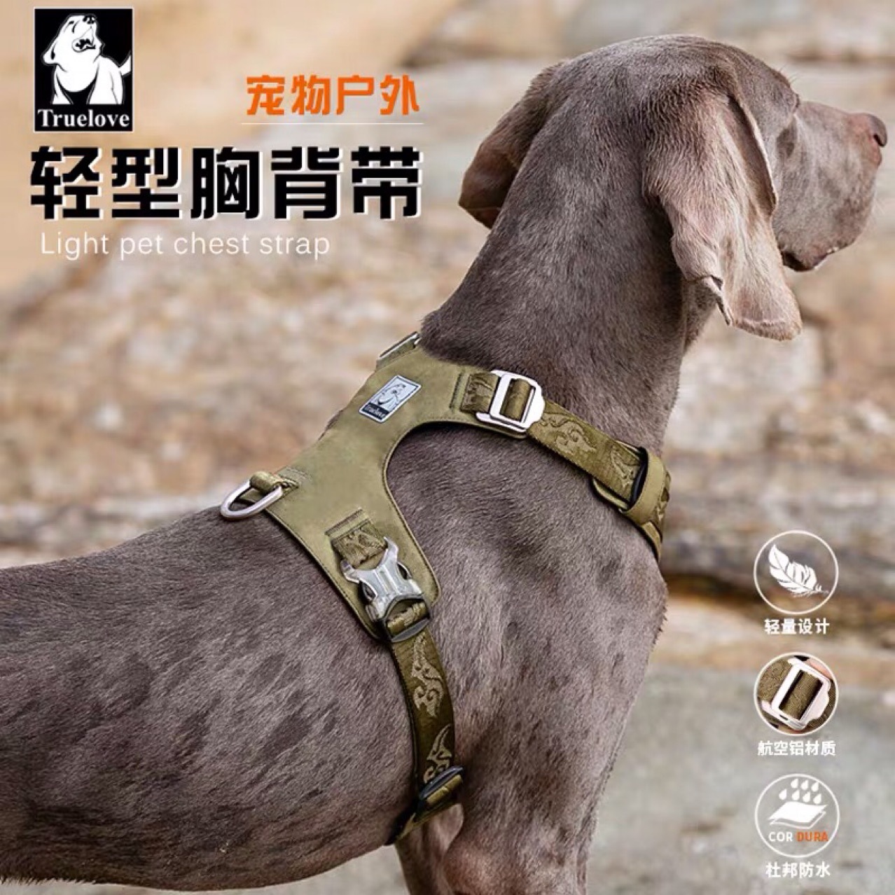 Purple Chest and Back Strap