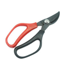 P䓰l֦ 6@ˇ pɫֱ޼