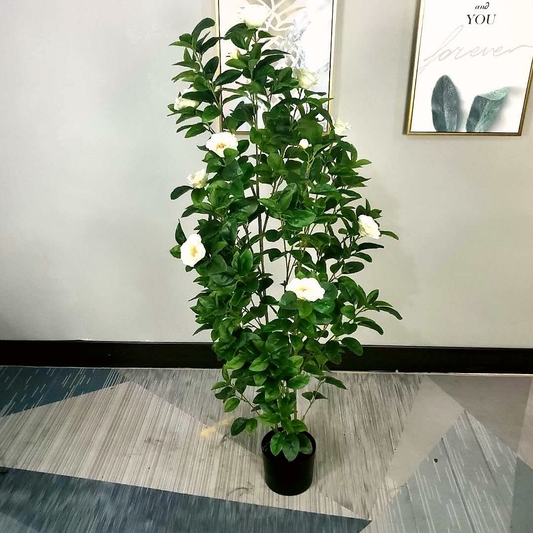 微信图片_20200619093754