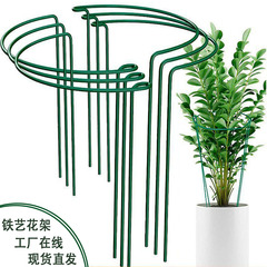 月季は藤の棚の植物の花の支柱の半円の花の棚に登ります。