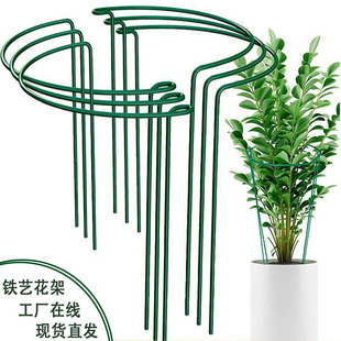 Rose Climbing Frame Plant Flower Support Semi-round Flower Frame Leaf Protection Frame Iron Flower Frame Crab Claw Orchid Tortoise Bamboo Support Frame