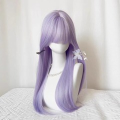 [Qianshi Zidai] 女性用ウィッグ ロングストレートヘア 低彩度 パープル ナチュラル ユニバーサル cos フルヘッドカバー