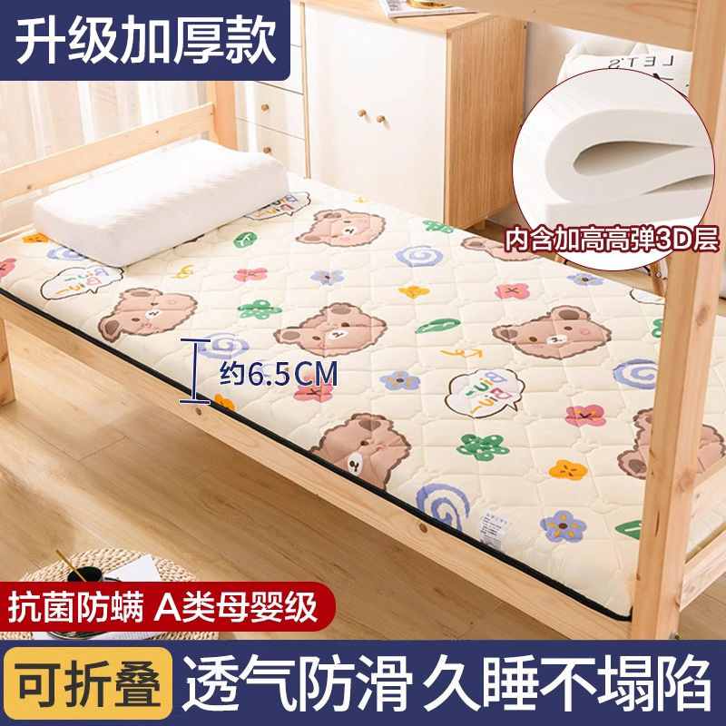 쿠키베어 [고탄성 3D 항균, 진드기 방지] 6.5cm