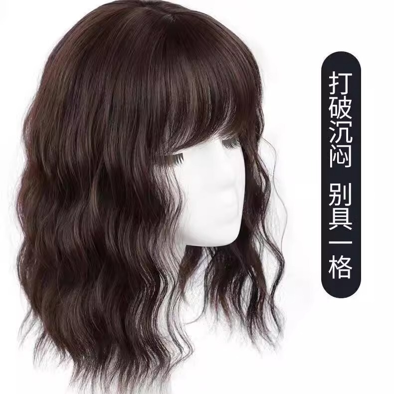 Wig for Women to Increase Hair Volume at the Top of the Head, Fluffy Hairpiece to Cover Gray Hair, Realistic Human Hair Water Wave Curly Bangs Hairpiece Wig for Women to Increase Hair Volume at the Top of the Head, Fluffy Hairpiece to Cover Gray Hair, Realistic Human Hair Water Wave Curly Bangs Hairpiece