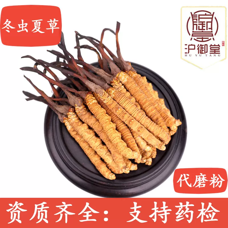 冬虫夏草西藏那曲虫草批发 虫草干货冻干培植炖汤泡酒多规格