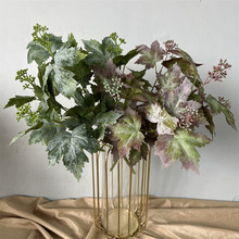 ������������~ �����~������˪��ɫ�͹ŝu׃�Gֲֲ��廨���Q