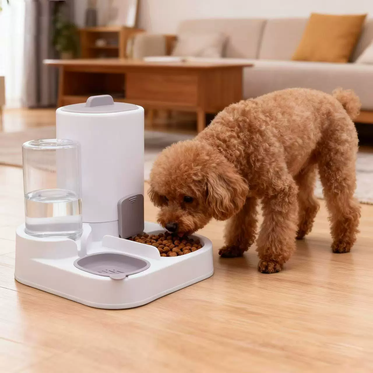 猫碗双碗一体宠物自动喂食器猫咪饮水机食具小猫碗喂猫神器狗狗碗