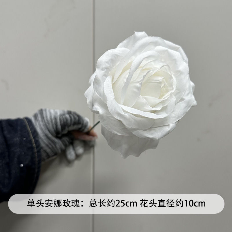 芦荀草绿植花龙须草假花白绿森系婚庆装饰自然风背景插花路引|undefined