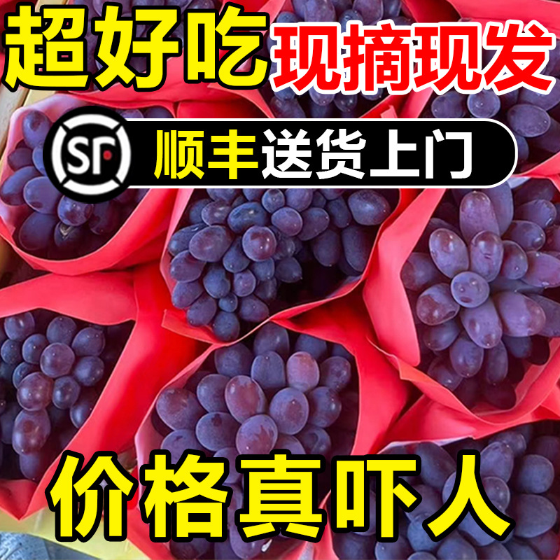 Fresh Jasmine Grape Authentic Seasonal Fresh Fruit Seedless Grape Whole Box