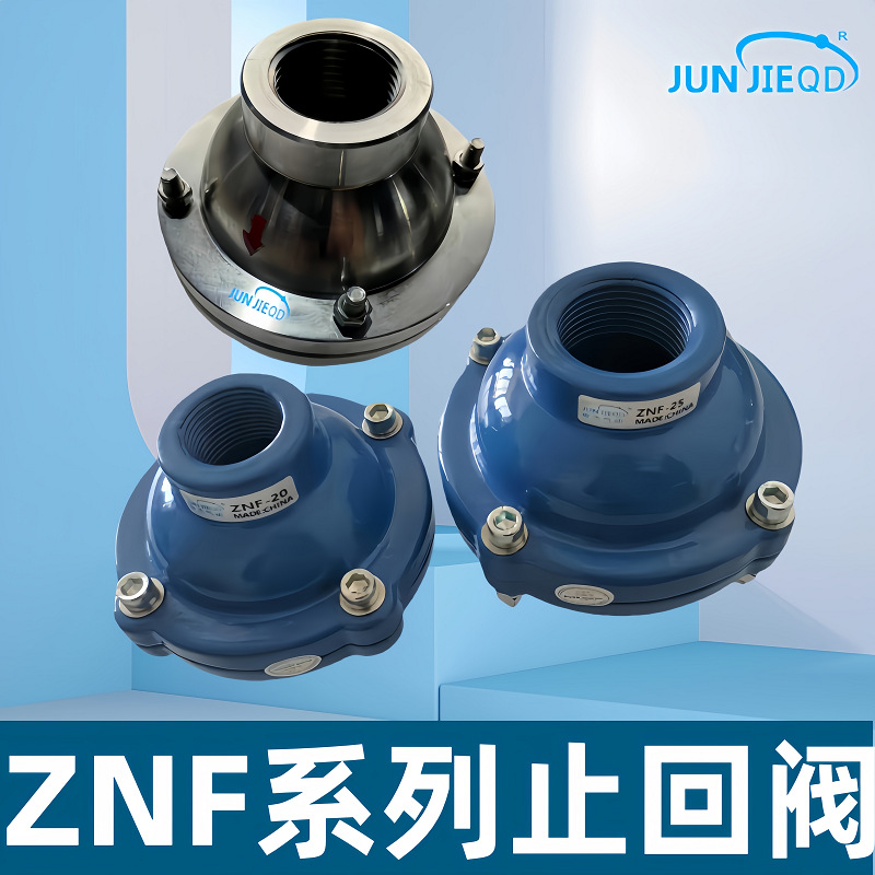 DXF/ZNF-25克莱德纽普兰型电厂除灰补气单向阀止回阀逆止阀止逆阀