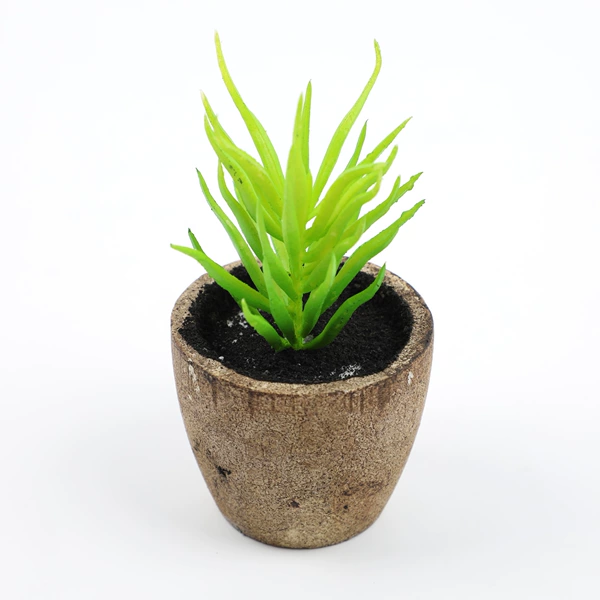 Blue pine-green